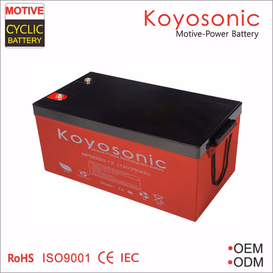 Direkt ab Werk 6V 240ah Deep Cycle Batterie Bodenreinigungsmaschinenbatterie zum Großhandelspreis