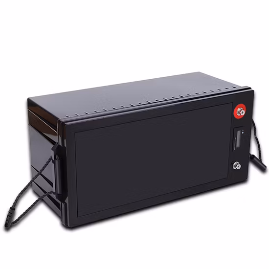 12V 24V Lithiumbatterie 100ah 200ah 300ah 50ah 12V/24V LiFePO4 Batterie zum Solarfabrikpreis